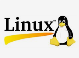 基于PCI總線的高速數據采集卡的linux驅動